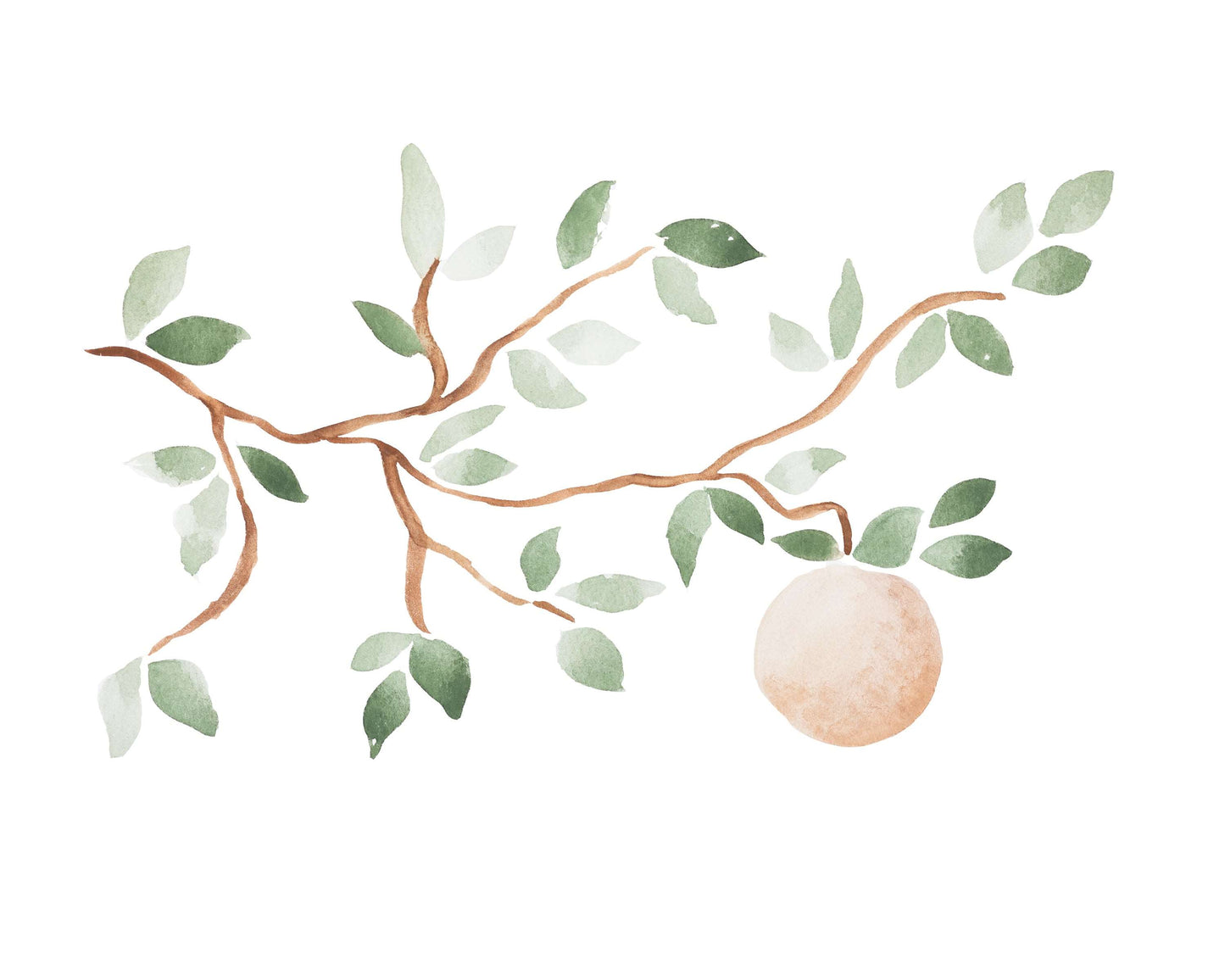 Fruit of Knowledge