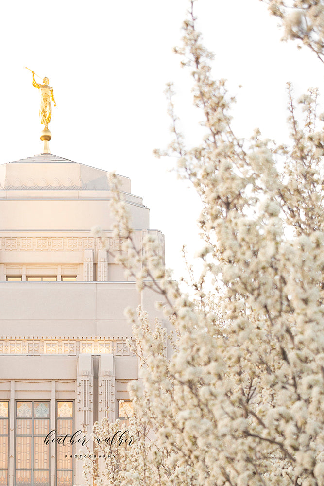 Meridian Idaho Temple "Fresh Blossoms"