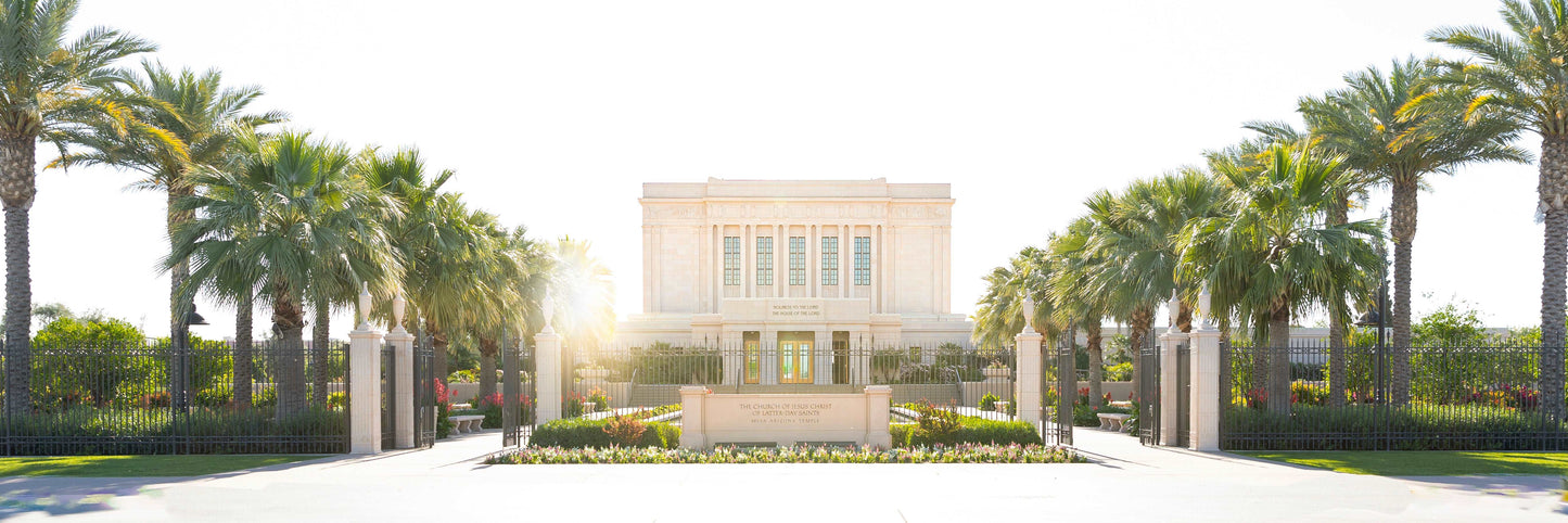 Standing at attention along the entrance to the Mesa, Arizona Temple, glorious palm trees show the way. Light filtering through reflects the beauty of the grounds and the light found inside the sacred building. LDS ART. LDS Temple. Jesus Christ Temple.
