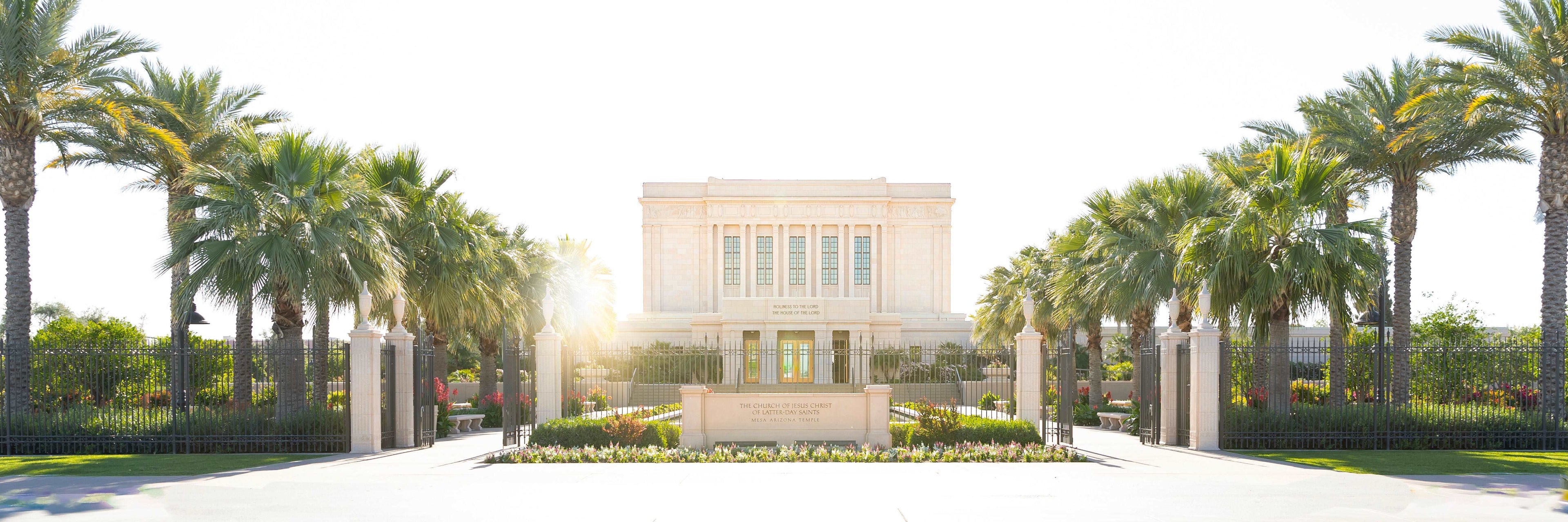 Standing at attention along the entrance to the Mesa, Arizona Temple, glorious palm trees show the way. Light filtering through reflects the beauty of the grounds and the light found inside the sacred building. LDS ART. LDS Temple. Jesus Christ Temple.