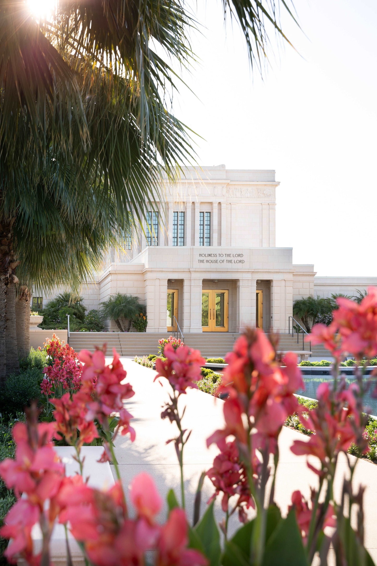 Peek through decadent blooms to get a view of the impressive Mesa, Arizona Temple entrance. Bright pinks are offset by the cool blue hue of the reflecting pool and windows. I love to see the temple, I'm going there someday! Photography by H. Walker @hwphotoart and @thelightgallery_