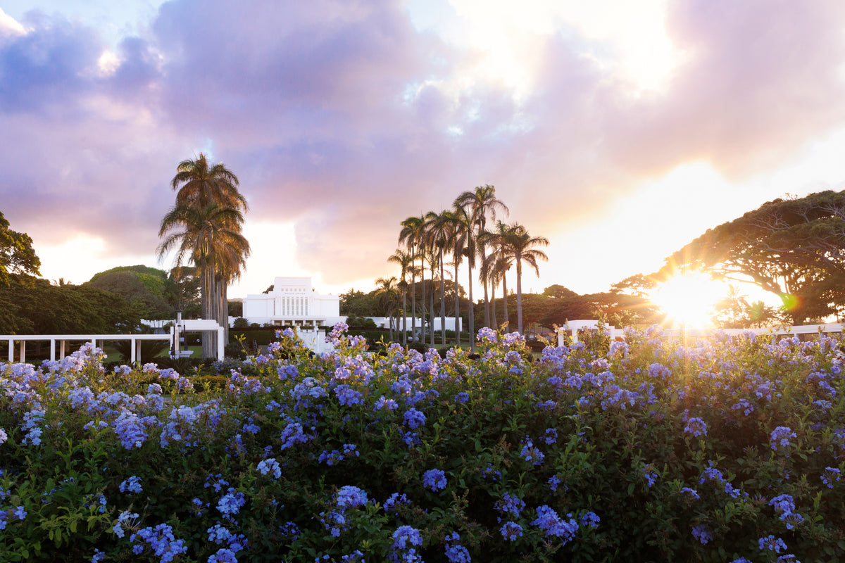 Laie, Hawaii Temple "Hawaiian Sunset"