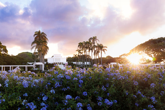 Laie, Hawaii Temple "Hawaiian Sunset"