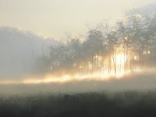Threshold of the Grove