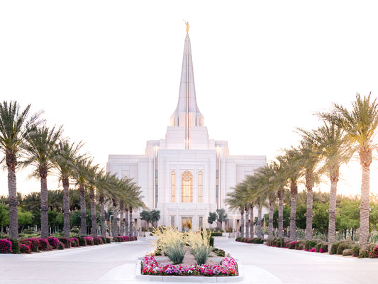 Gilbert, Arizona Temple  "Summer Splendor"